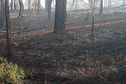 Feux de forêts au Mont-Dore : cinq hectares brûlés à Saint-Louis