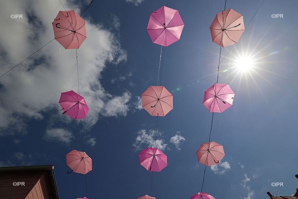 Octobre Rose cancer du sein