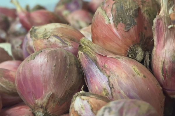 L'oignon pei très cher sur les étals et les marchés réunionnais.