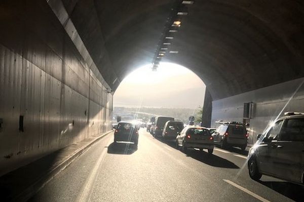 Tunnel des Tamarins 