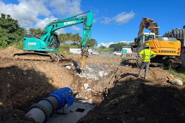 Dernière étape dans l'installation du nouveau feeder de Capesterre-Belle-Eau