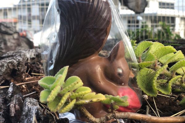 Les chocolatiers profitent de la période de Pâques pour faire de belles ventes.