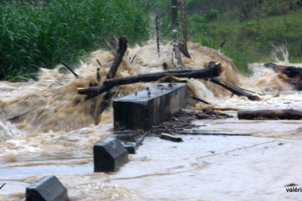 Sarraméa (04/02/14)