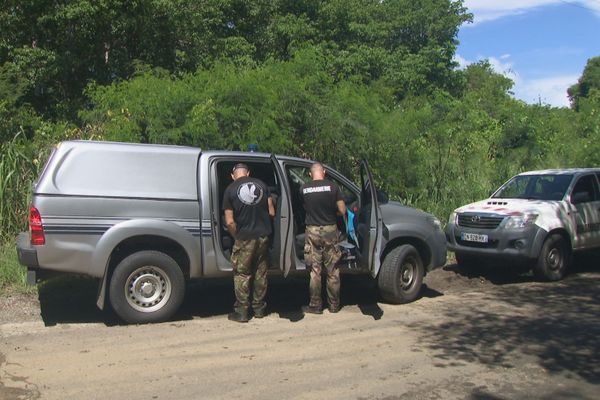 Les enquêteurs à proximité du lieu de la découverte macabre au Robert.