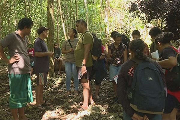 Excursion de collégiens à Alofi