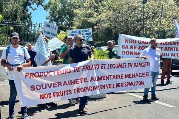 Mobilisation des producteurs de fruits et légumes de La Réunion