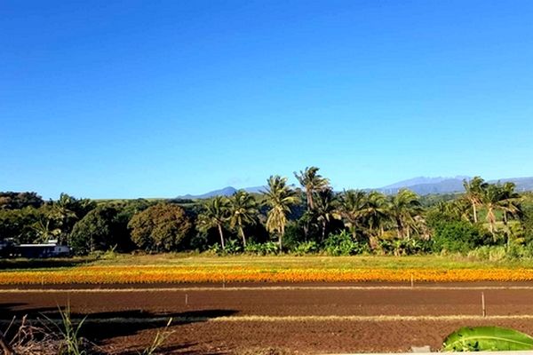 Ciel bleu La Réunion 9 janvier 2025