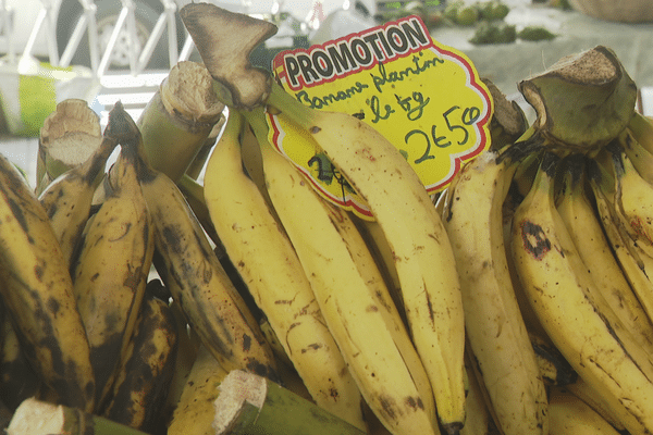 Des bananes jaunes sur les étals du grand marché de Fort-de-France.