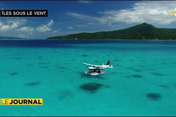 Iles sous le Vent : les ailes du lagon