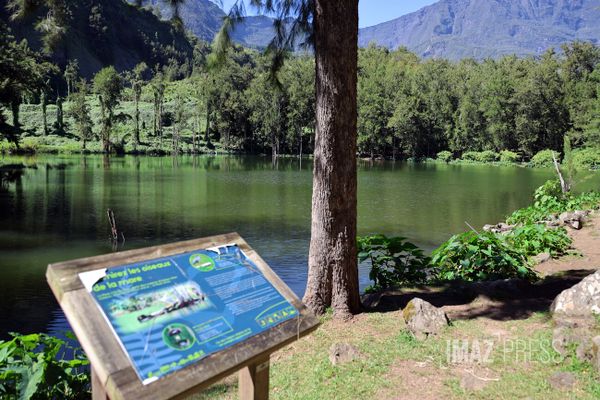 La biodiversité réunionnaise