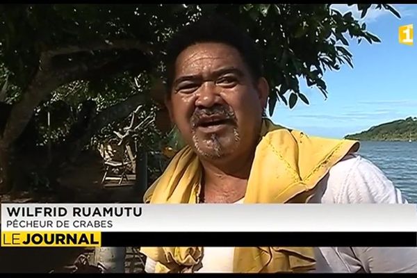 Wilfrid Ruamutu, chasseur de crabes