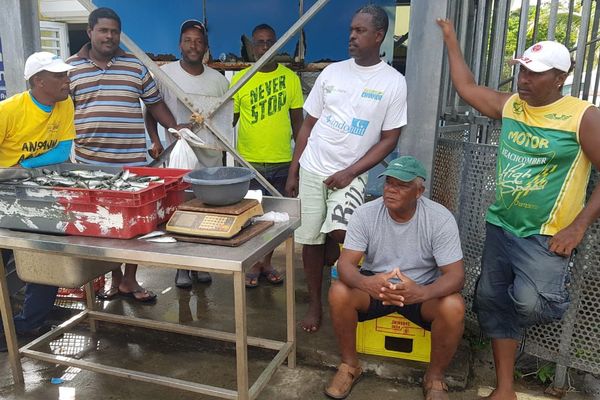 Michel Moreau et ses collègues ont installé leur point de vente au port de pêche de Petite Anse aux Anses d'Arlet. 