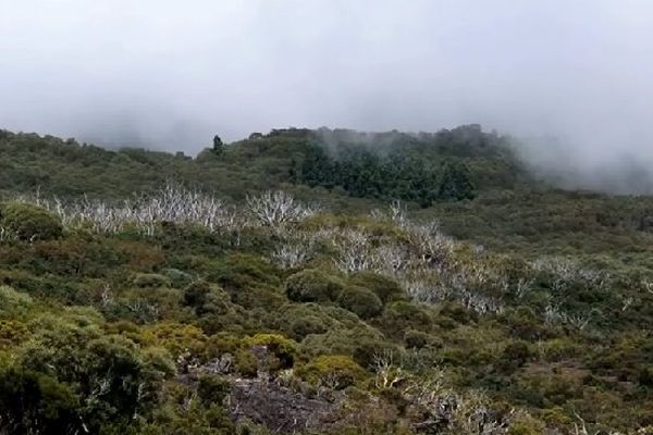 Nuages dans les hauts 