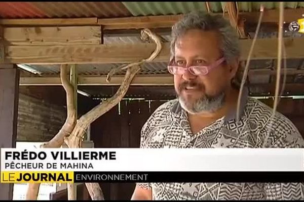 Une aire maritime protégée sur la pointe Vénus