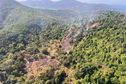 Feux de forêts à Mayotte, plus de 20 hectares ont brûlé au sud de l'île