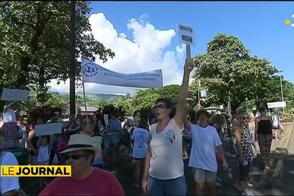 Manifestation à Papeete pour dénoncer la misère animale 