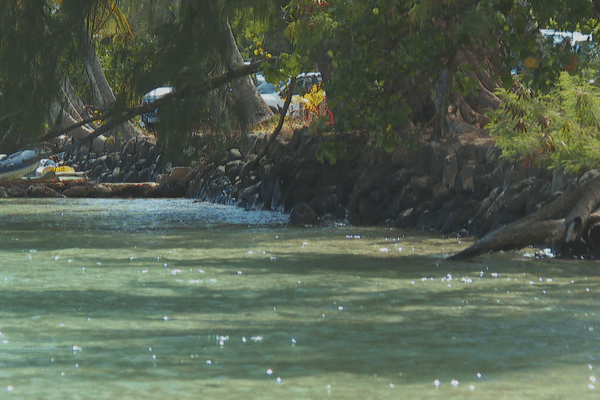 Moorea : le recul inexorable des plages