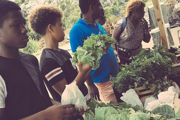 Des volontaires dépensent leurs Wouscoin sur un marché adhérent à Fort-de-France. 