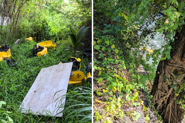 Les deux-roues de Hello Scoot' abandonnés dans la nature.