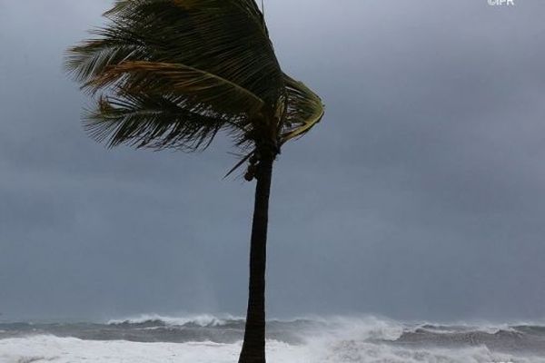 L'hiver austral arrive à La Réunion.