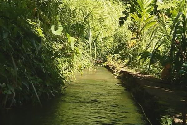 Fonds-Saint-Denis Canal des esclaves