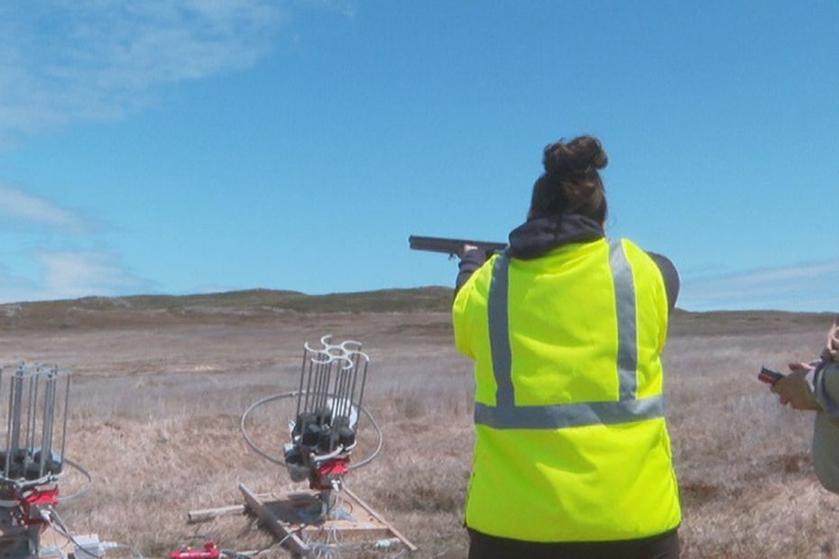 Controversy Over New Online Hunting License Exam Process in St-Pierre and Miquelon