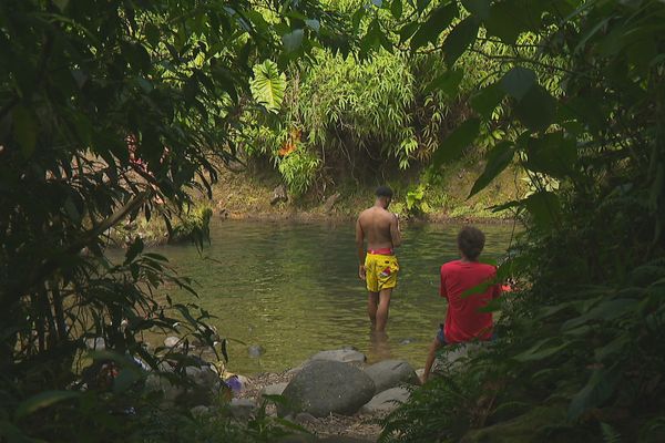 Nature rivière