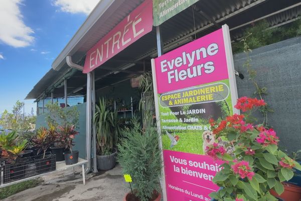 Saint-Denis : des commerces installés près du boulevard Sud font l'objet d'un avis d'expulsion, des salariés au chômage