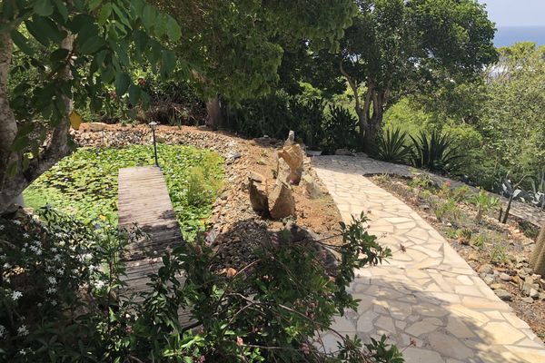 Le Jardin botanique du Désert, à La Désirade, vient d'être labellisé "Jardin remarquable". Une visite s'impose !