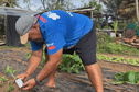 Maraîcher, il approvisionne l'île de Huahine : Temana Naho le père nourricier