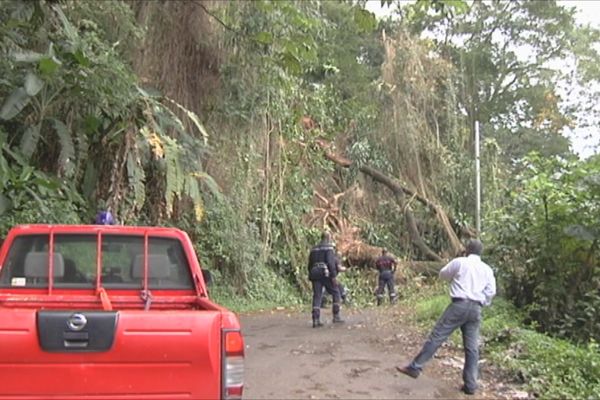 Deux énormes arbres et de la terre empêchent toute circulation sur la route du Morne d'Orange.