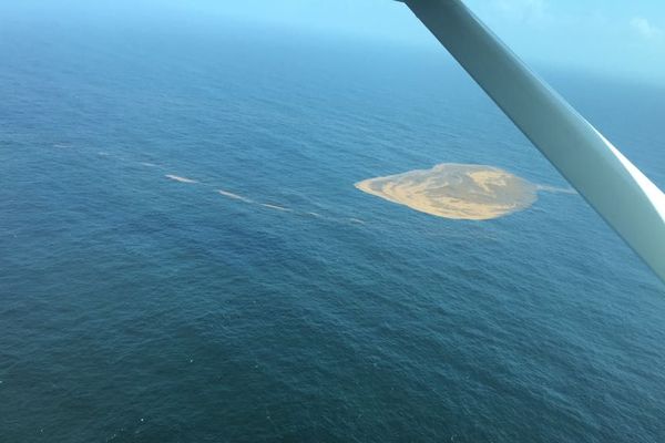 Survol du littoral guyanais par Greenpeace