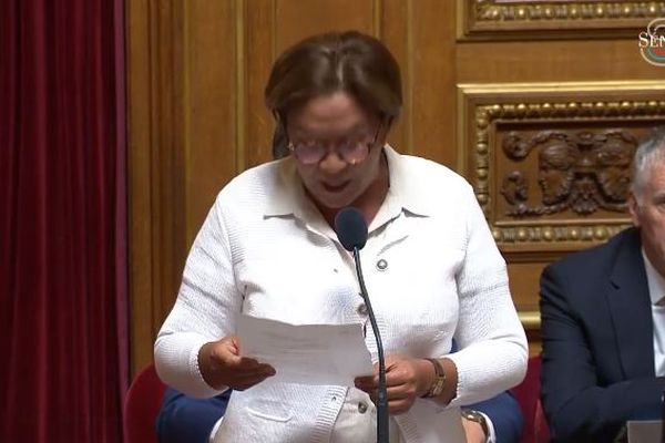 Lana Tetuanui, lors de sa question au gouvernement, au Sénat.