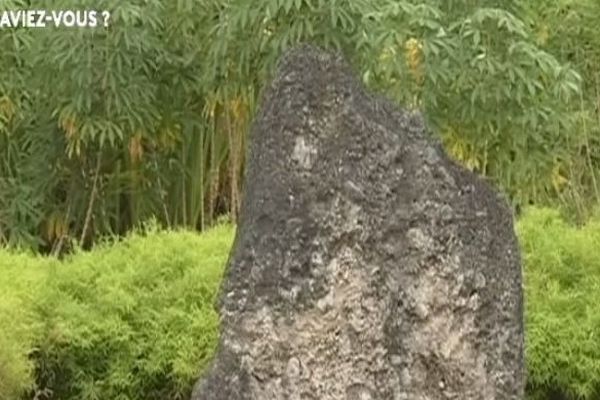 La pierre dorsale du roi Sakumani  à Futuna