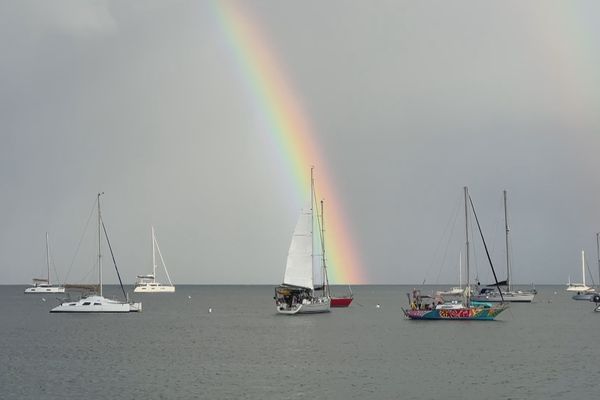 Thauride V et Vagalonga bien arrivés à Marie-Galante pour le Rallye des îles du soleil 2024