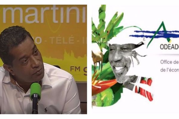 Ange Milia, le président de Madivial (17 novembre 2017 dans les studios de Martinique 1ère)