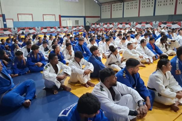 Plus de 200 judokas ont pris part au stage