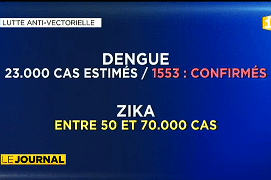 Zika, Dengue, Chikungunya : Même Combat