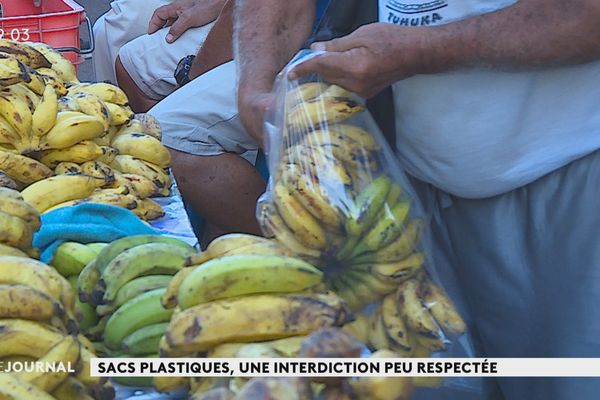 Malgré tout, il est solide et pratique le sac en plastique.