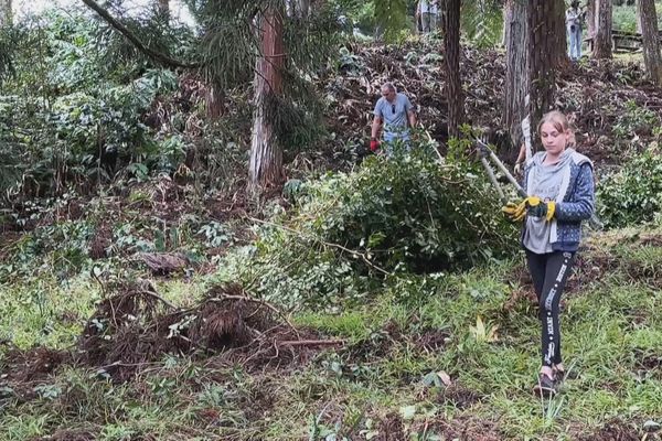 Des élèves arrachent des plantes invasives au Brûlé pour préserver les espèces endémiques