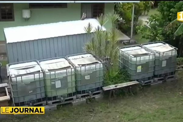 Une ferme pilote d’élevage de tilapias à Raiatea