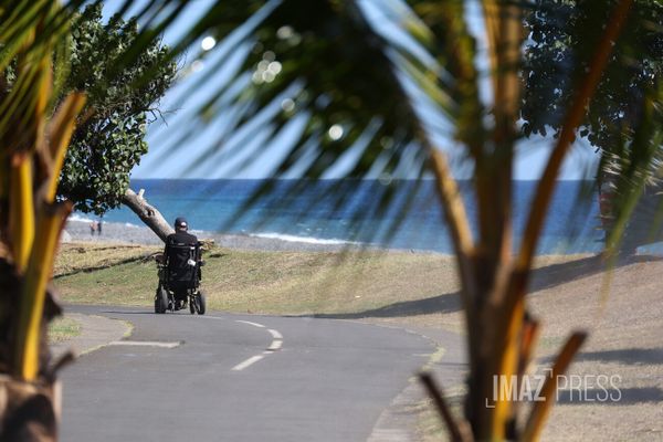 La Réunion compte plus de 37 000 personnes ayant au moins un droit ouvert au titre du handicap