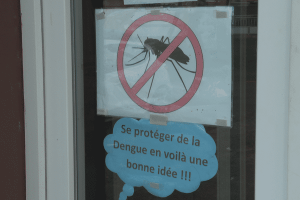 En Martinique, la lutte contre le moustique est un combat de longue haleine…