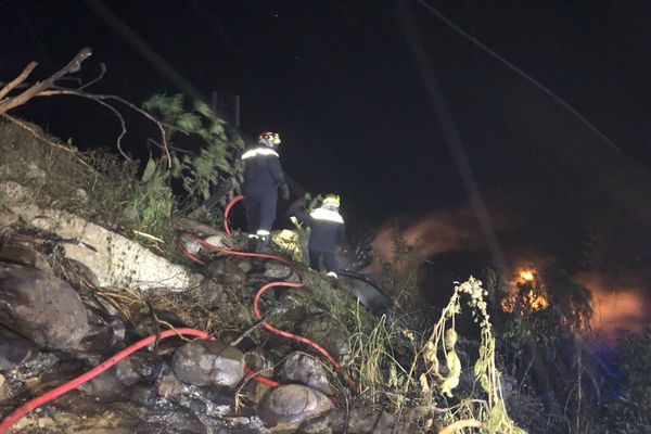 Feu de cannes