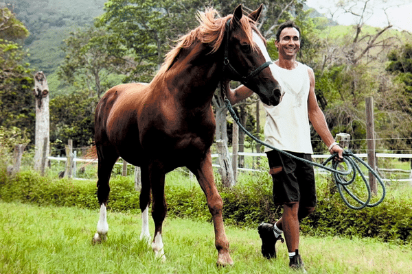 En 2022, Frisson de Balme, étalon de race Selle français, était confié à l'Upra équine calédonienne.