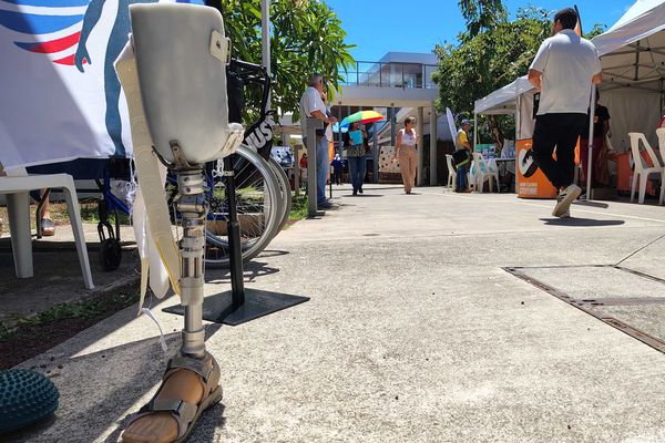 Journée mondiale des personnes porteuses de handicap