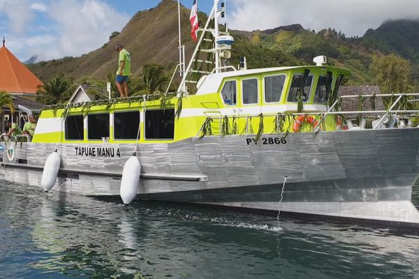 Ce bateau peut transporter une trentaine de passagers.