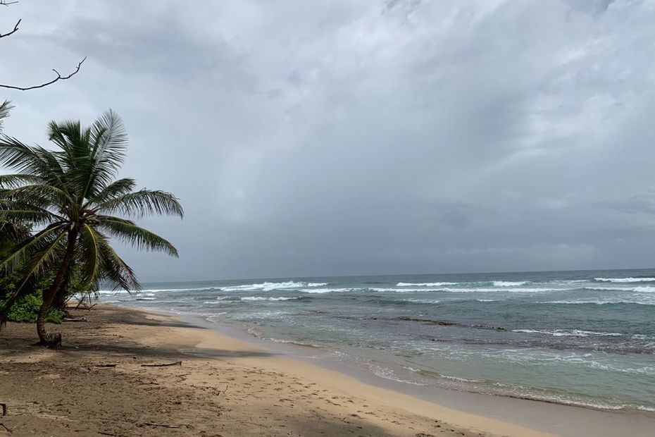 Czy globalne ocieplenie jest przyczyną prędkości Tropical Storm Bret?