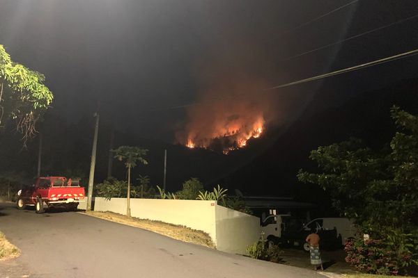 Visible de loin le feu du 14 novembre 2024 dans le Sud du Mont-Dore, à La Coulée.