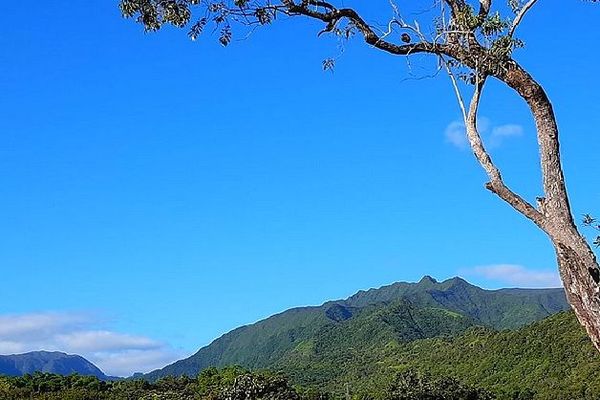 Takamaka sous un beau ciel bleu 27 janvier 2020